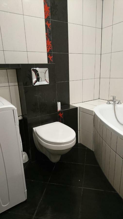 Apartament Boroweczka Полковице Экстерьер фото